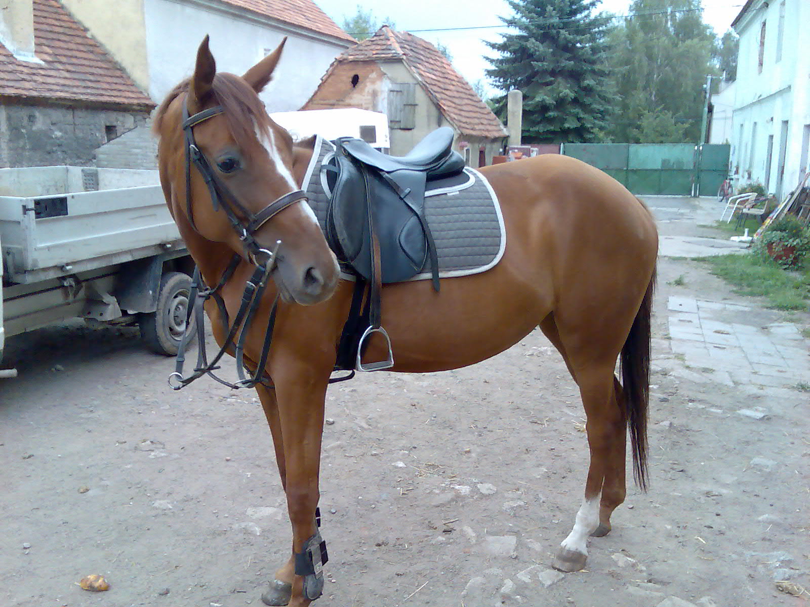 Obraz015.jpg