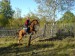 DSC00352.jpg