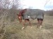 DSC00120.JPG